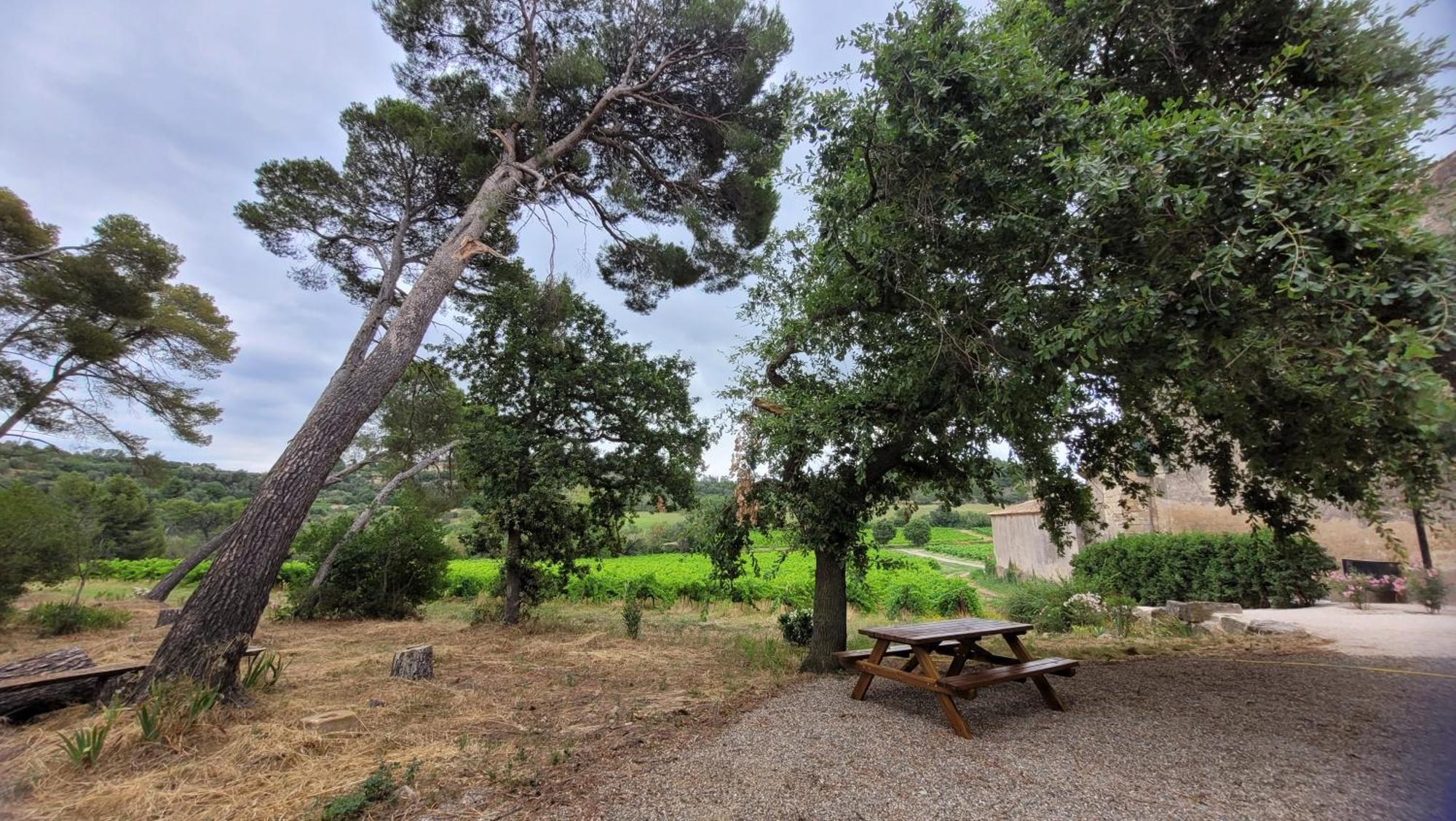 La Pinede, Logement Privatif Au Chateau Aumes Buitenkant foto